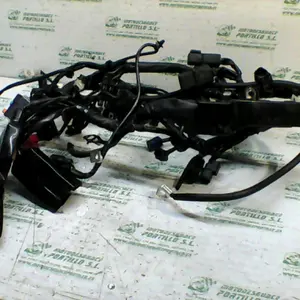 Foto de Instalación electrica Honda CBR650 FA referencia 104-18-13435 foto 4