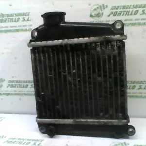 Foto de Radiador Honda Lead 110 referencia 77-17-39043