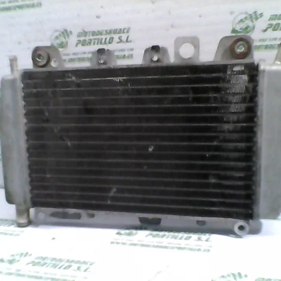 Foto de Radiador Piaggio X9 125 referencia 244-19-24208