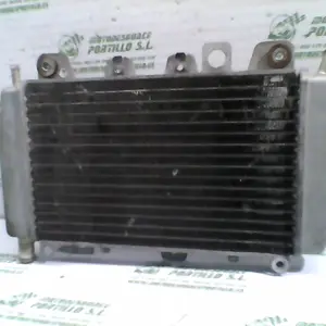 Foto de Radiador Piaggio X9 125 referencia 244-19-24208