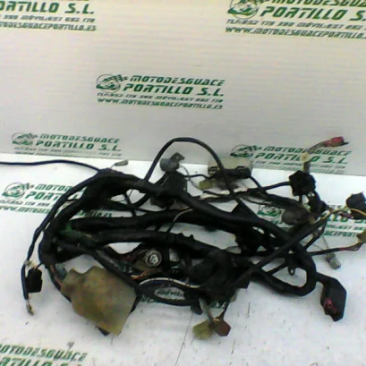Foto de Instalación electrica Honda Silver wing 600 referencia 122-19-20296