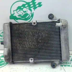 Foto de Radiador Honda SH 300 I referencia 364-23-46080 foto 6
