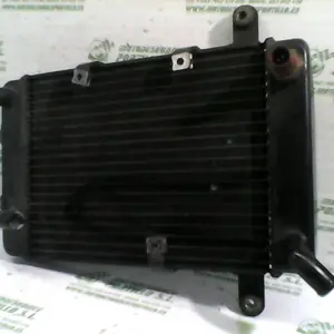 Foto de Radiador Suzuki Burgman 250 referencia 109-17-9532