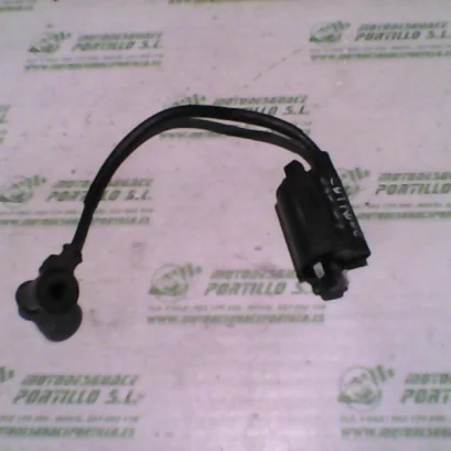 Foto de Bobina Suzuki Intruder 250 referencia 391-23-46934