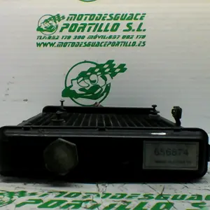 Foto de Radiador Derbi RAMBLA 300 referencia 167-22-37651 foto 3