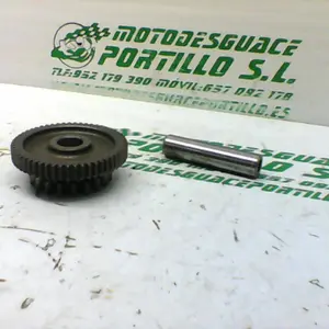 Foto de Piñón del motor de arranque Suzuki GS-500-F referencia 208-24-48369 foto 5