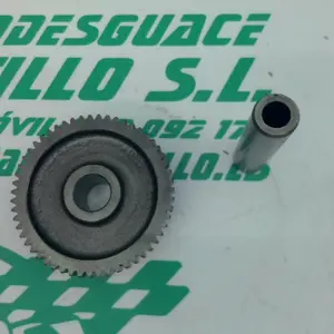 Foto de Piñón del motor de arranque Suzuki GS-500-F referencia 208-24-48369 foto 4