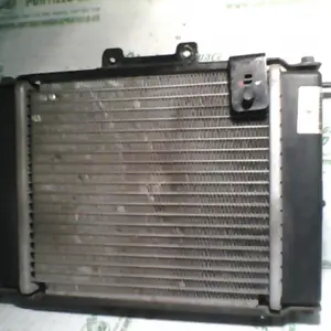 Foto de Radiador Kymco Grand dink 125 referencia 42-20-33999