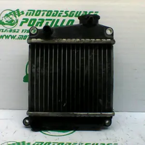 Foto de Radiador Honda Lead 110 referencia 77-17-39043 foto 3