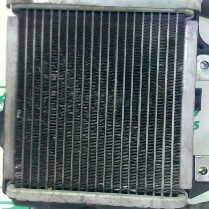 Foto de Radiador Honda FORZA 125 referencia 396-25-49013