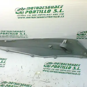 Foto de Embellecedor lateral izquierdo Sym CITYCOM 300 I referencia 246-19-22924 foto 1