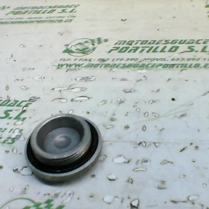 Foto de Tapon vaciado de aceite TGB X MOTION 125 referencia 92-18-13176