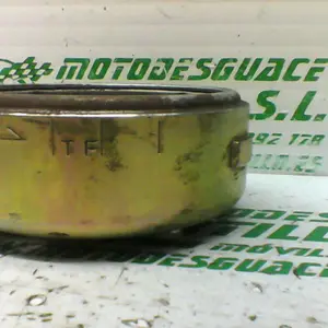 Foto de Plato magnetico Sym VS 125 09 referencia 65-18-25102 foto 4