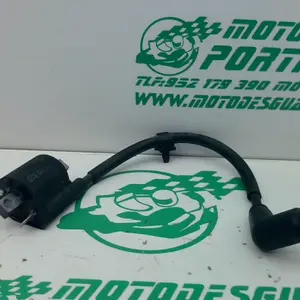 Foto de Bobina Yamaha Xenter 125 referencia 446-22-40693 foto 2
