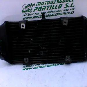 Foto de Radiador Yamaha Majesty 400 05-06 referencia 174-16-17926 foto 2