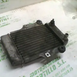 Foto de Radiador Honda Dylan 125 referencia 21-18-11534 foto 8