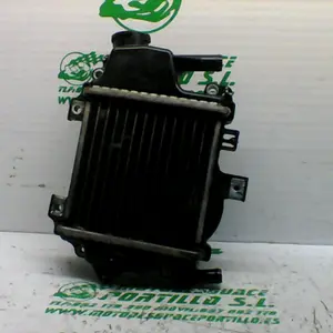 Foto de Radiador Honda Pcx 125 referencia 181-23-46198 foto 6