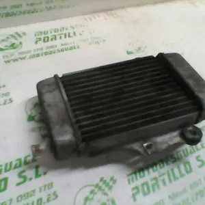 Foto de Radiador Honda Dylan 125 referencia 21-18-11534 foto 6
