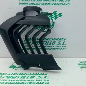 Foto de Protector de radiador Yamaha Xenter 125 referencia 446-22-40587 foto 6