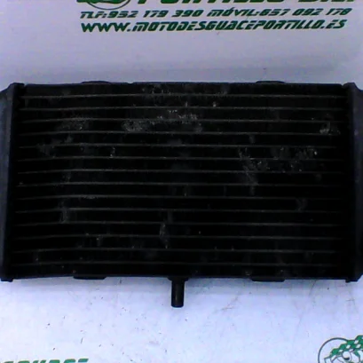 Foto de Radiador Yamaha Majesty 400 05-06 referencia 174-16-17926