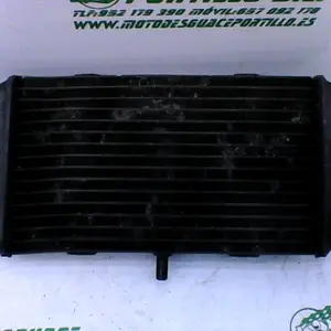 Foto de Radiador Yamaha Majesty 400 05-06 referencia 174-16-17926 foto 1