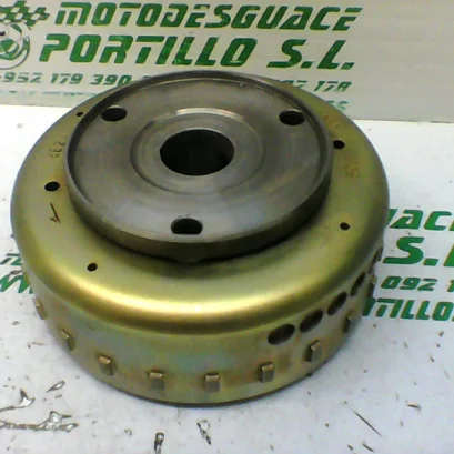 Foto de Plato magnetico Sym CITYCOM 300 I referencia 246-19-23000