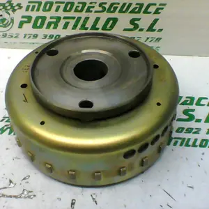 Foto de Plato magnetico Sym CITYCOM 300 I referencia 246-19-23000