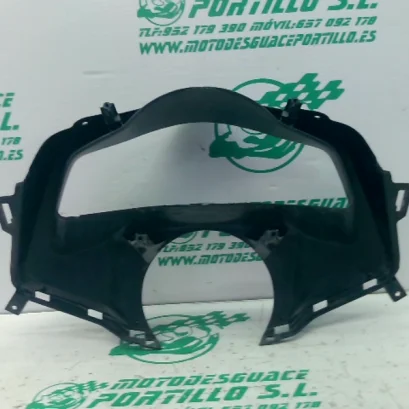 Foto de Carcasa cuentakilómetros Honda PCX 2017 referencia 231-24-48424