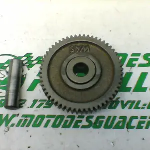 Foto de Piñón del motor de arranque Sym CITYCOM 300 I referencia 246-19-22974 foto 2