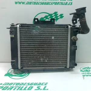 Foto de Radiador Kymco Grand Dink 125 08-11 referencia 321-21-35323 foto 2
