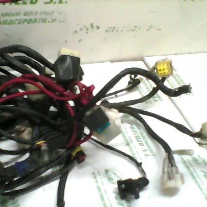 Foto de Instalación electrica Keeway SILVERBLADE 125 12-13 referencia 116-17-11684