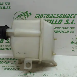 Foto de Bote expansor Piaggio X9 125 referencia 244-19-24238