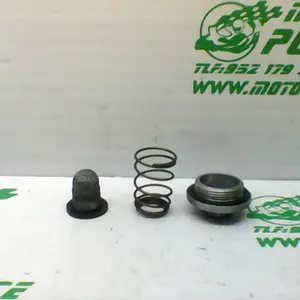Foto de Tapon vaciado de aceite Kymco Grand dink 125 referencia 166-20-33147 foto 3