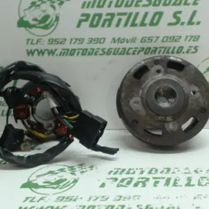 Foto de Encendido Daelim S five 50 2T referencia 28-23-48517