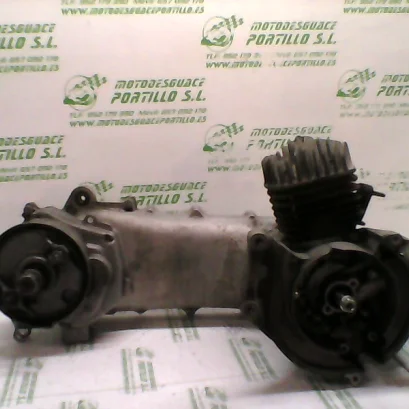Foto de Motor Honda SKY 50 referencia 90-18-29848