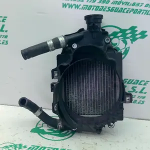 Foto de Radiador Honda FORZA 125 referencia 396-25-49013 foto 2