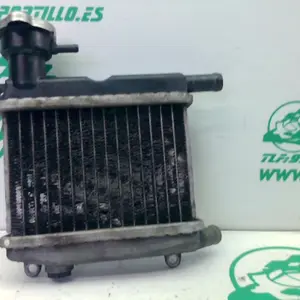 Foto de Radiador Yamaha neos referencia 489-24-48894