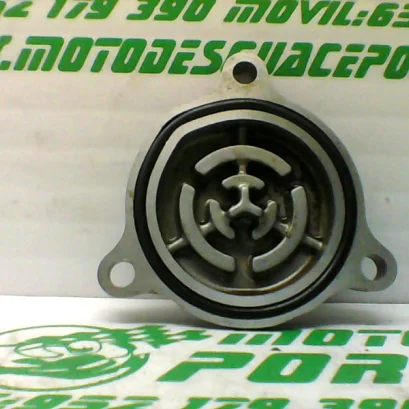 Foto de Tapa filtro aceite Yamaha X MAX 125 referencia 172-19-29217