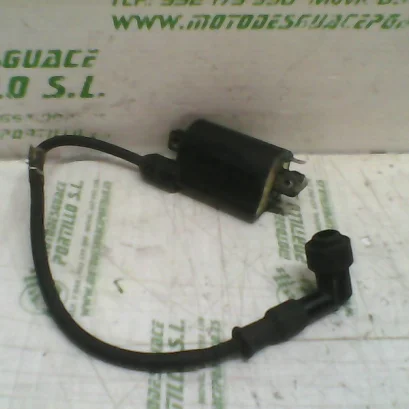 Foto de Bobina Honda Foresight 250 referencia 231-20-42634