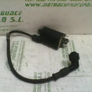 Foto de Bobina Honda Foresight 250 referencia 231-20-42634