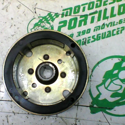 Foto de Plato magnetico Derbi Predator 50 referencia 105-22-40467