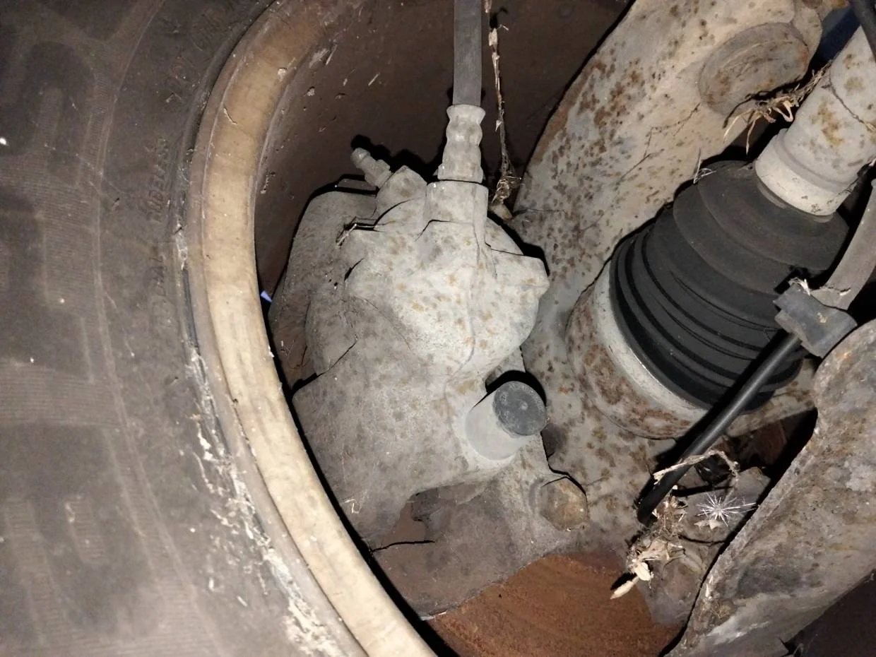 Foto de PINZA DE FRENO DELANTERA DERECHA RENAULT SCENIC II (JM)