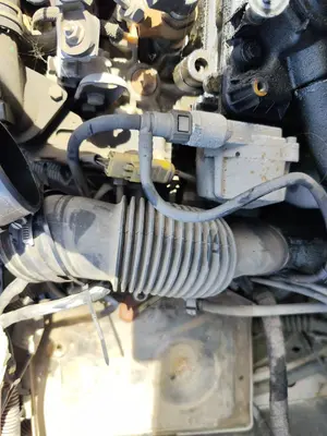 Foto de TUBO CITROEN BERLINGO 2.0 HDi CAT (RHY / DW10TD) (90 CV / 66 KW)