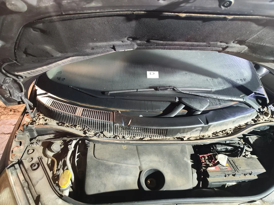 Foto de TORPEDO RENAULT SCENIC II (JM) 1.5 dCi Diesel (106 CV / 78 KW) referencia 8200136789