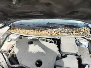 Foto de TORPEDO FORD FOCUS BERLINA (CAP) 1.8 TDCi Turbodiesel CAT (116 CV / 85 KW)