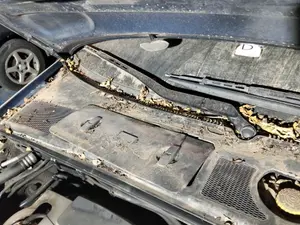 Foto de BRAZO LIMPIA DELANTERO DERECHO AUDI A4 BERLINA (8E)
