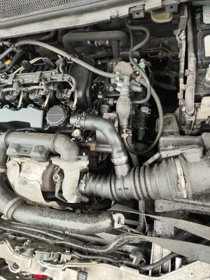 Foto de MOTOR COMPLETO FORD FOCUS BERLINA (CAP) 1.6 TDCi CAT (90 CV / 66 KW) referencia HHDA foto 3
