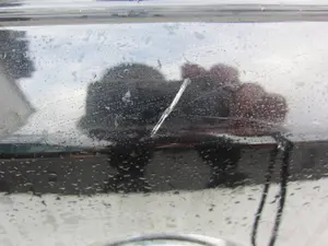Foto de NO IDENTIFICADO BMW SERIE M6 COUPE (E63) 5.0 CAT (507 CV / 373 KW) referencia 4162700873005 foto 6