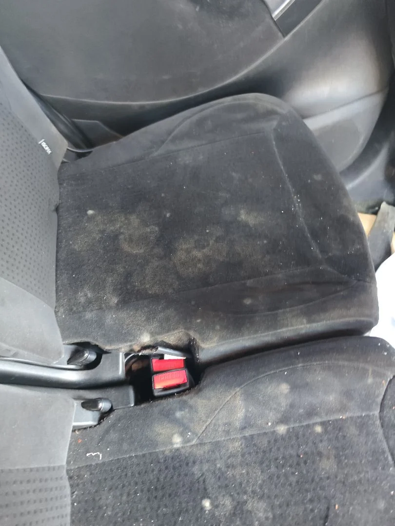 Foto de ASIENTOS TRASERO IZQUIERDO CITROEN GRAND C4 PICASSO 1.6 16V HDi FAP (109 CV / 80 KW)