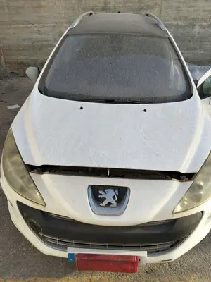 Foto de CAPO PEUGEOT 308 SW 1.6 HDi FAP CAT (9HZ / DV6TED4) (109 CV / 80 KW) foto 2